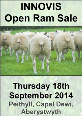 Innovis Open Ram Sale.jpg